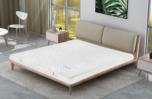 樱桃视频成人APP品牌