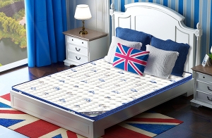 樱桃视频成人APP椰棕床垫价格