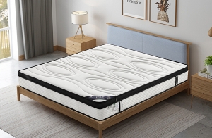 樱桃视频成人APP梦宝