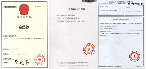 樱桃视频成人APP