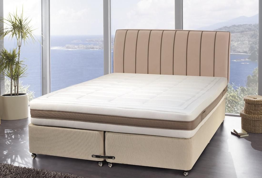 樱桃视频成人APP 樱桃视频成人APP