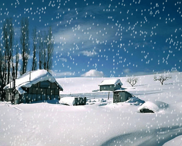 樱桃视频成人APP