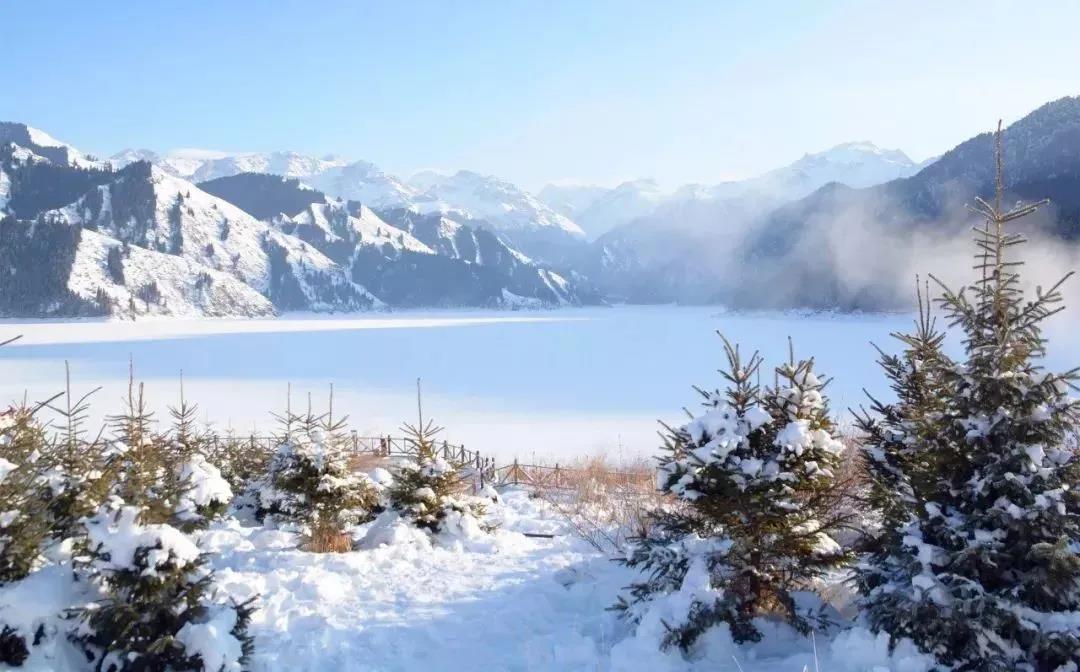 樱桃视频成人APP